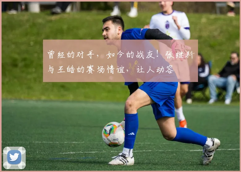 曾经的对手,如今的战友!张继科与王皓的赛场情谊,让人动容