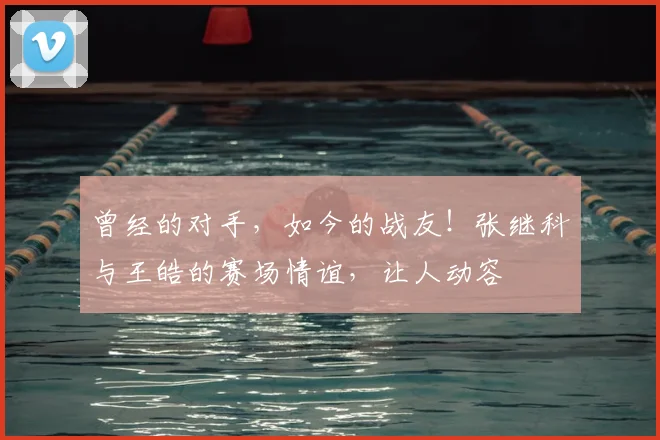 曾经的对手，如今的战友！张继科与王皓的赛场情谊，让人动容